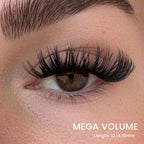 Lash Up - Product View 10