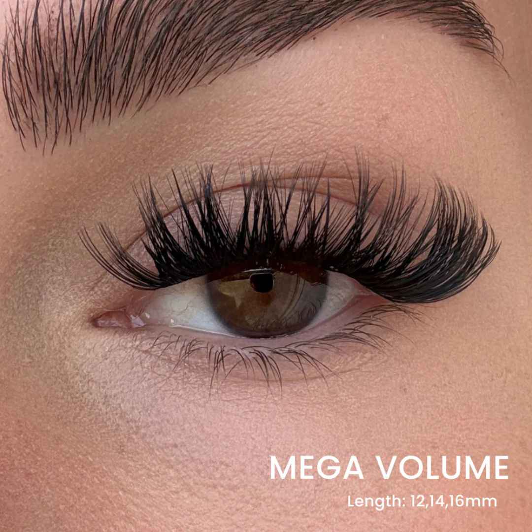 Lash Up - Product View 10